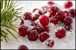 winter cranberry 450