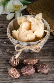 organic shea butter