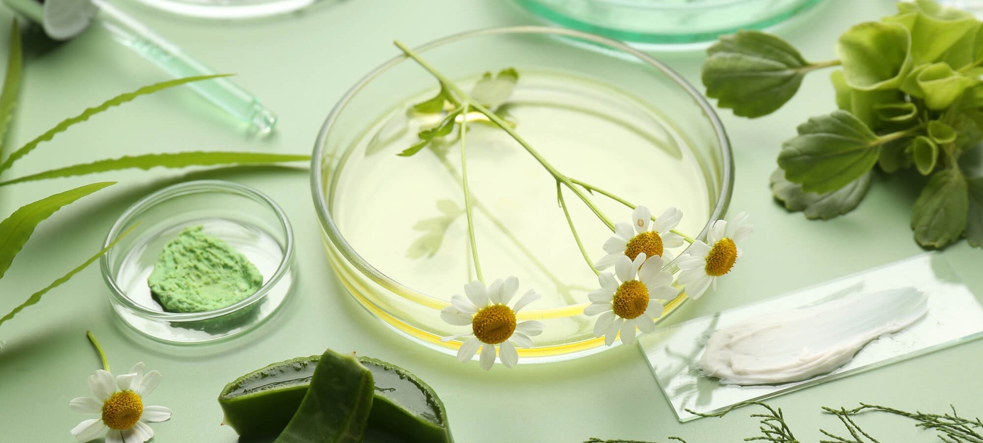botanicals slim